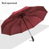 Automatic Folding Umbrella - TulipQueen