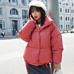 Winter Jacket - TulipQueen