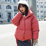 Winter Jacket - TulipQueen